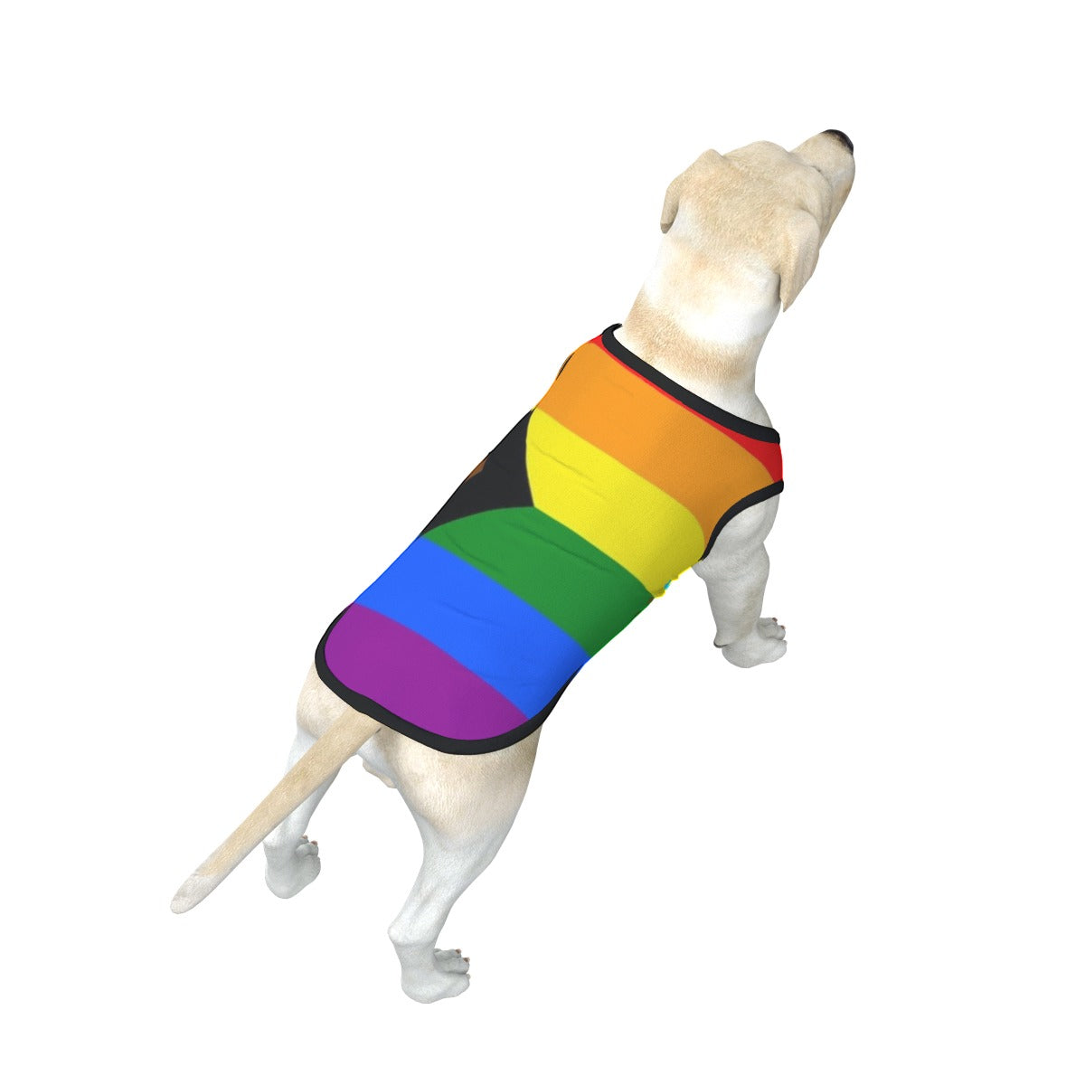 Gay Flag Dog's Top