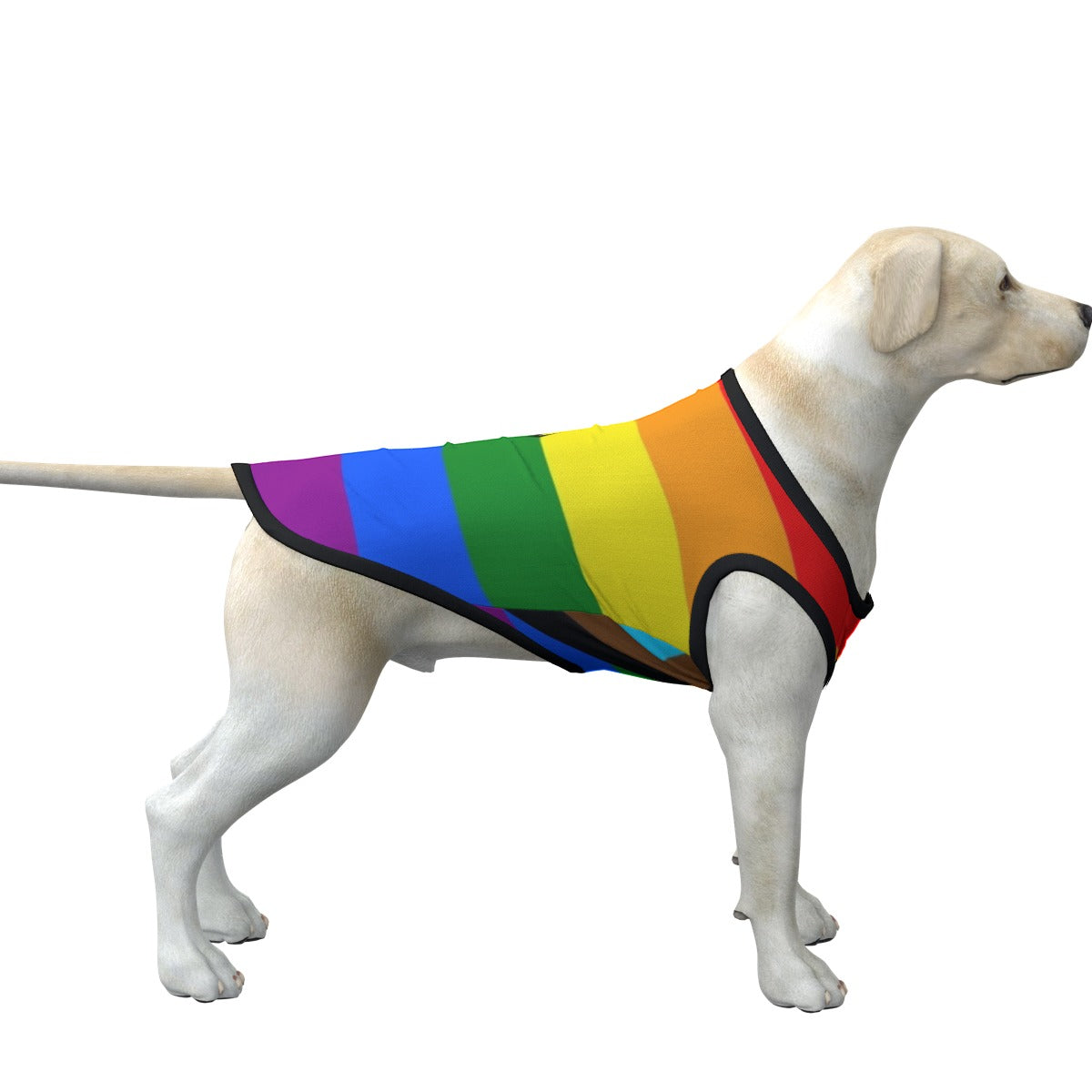 Gay Flag Dog's Top