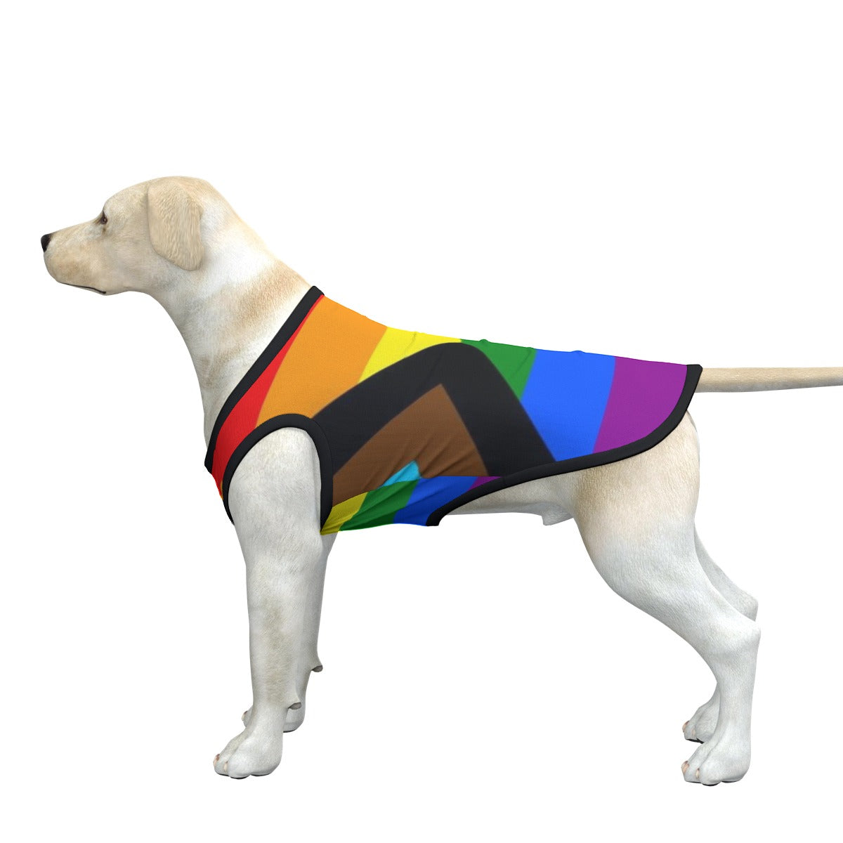 Gay Flag Dog's Top