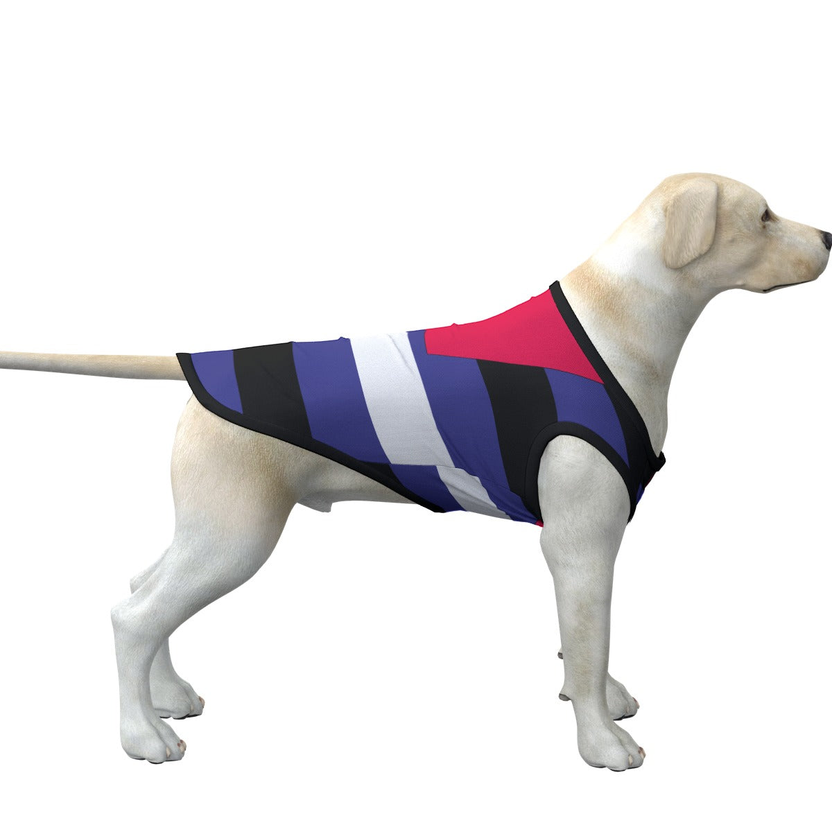 Leather Flag Dog Top